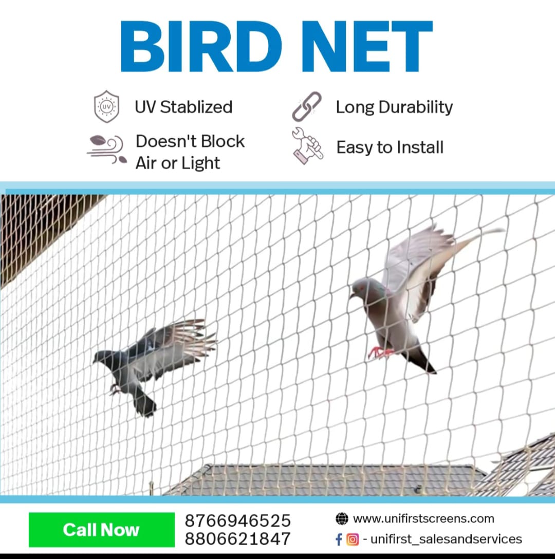 Bird Net